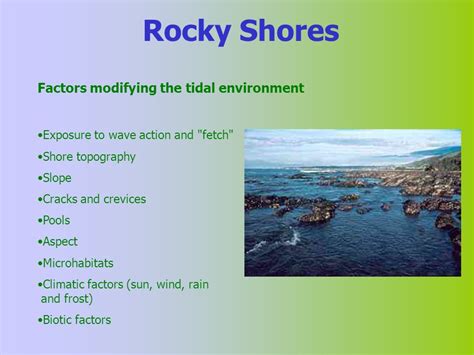 5 Abiotic Factors