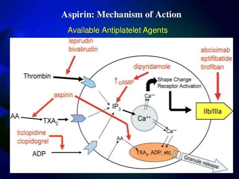 Aspirin Effects on Liver