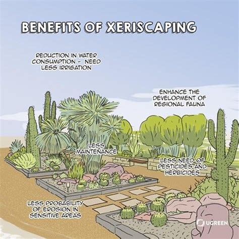 Benefits Of Xeriscaping