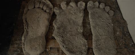 Bigfoot Foot Bigfoot Foot
