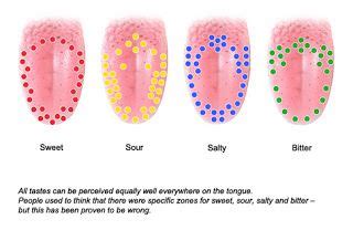 5 Brown Taste Buds Facts