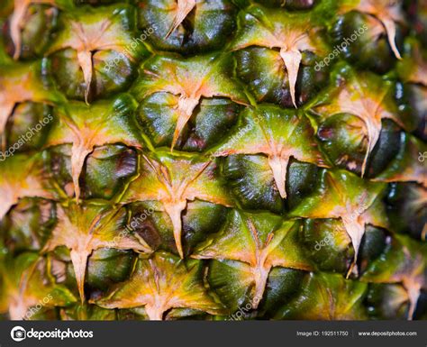 Bumpy Texture Fruit Bumpy Texture Fruit