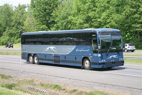Bus Albany To Boston Bus Albany To Boston