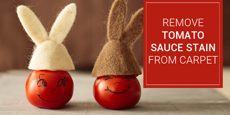 Clean Tomato Sauce Stain Clean Tomato Sauce Stain