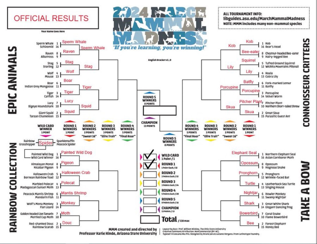 Could Arizona Win March Madness