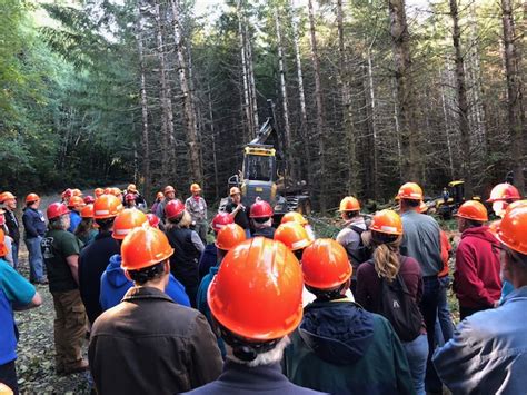 County Forestry Management