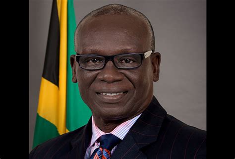 Desmond Mckenzie Jamaica Information Service