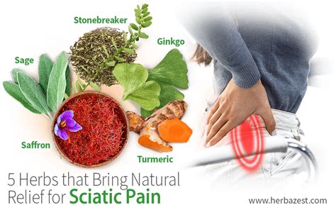 Homeopathic Relief for Sciatica Pain Homeopathic Relief for Sciatica Pain