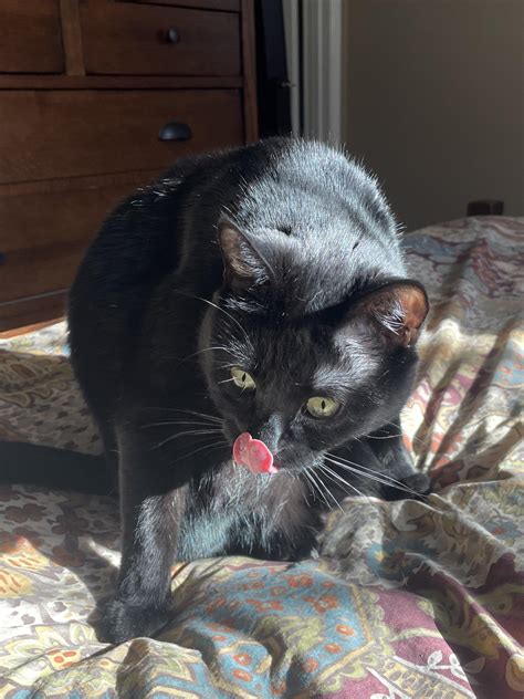 Nude Blackpussy
