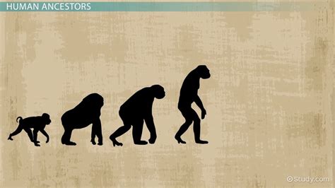 Paleoanthropology Degree