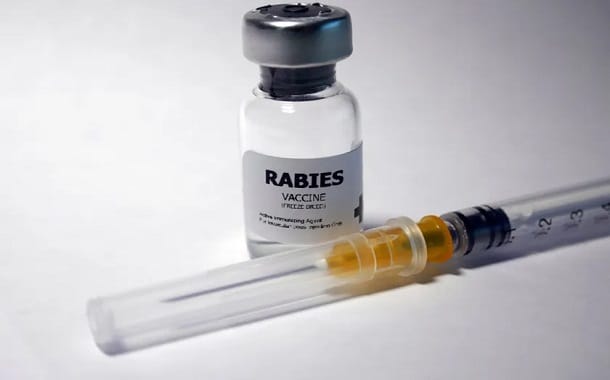 Rabies Vaccine For Humans Cost Rabies Vaccine For Humans Cost