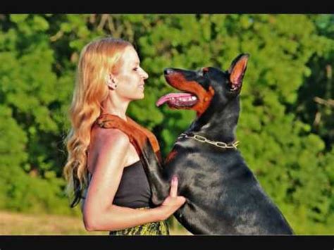 Several Dog Owners Have Sex With Their Dog Youtube Several Dog Owners Have Sex With Their Dog Youtube