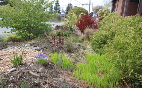 West Seattle Blog Earth Day Church S Rainwise Installation West Seattle Blog Earth Day Church S Rainwise Installation