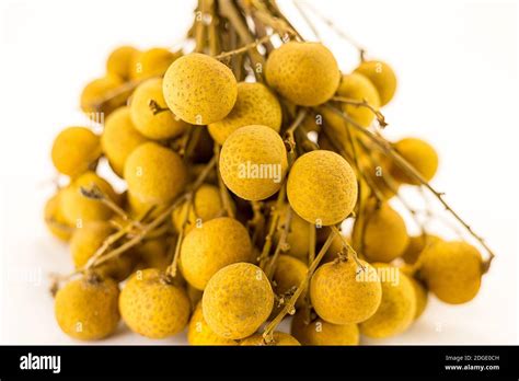 Yellow Juicy Fruits Berries Asian Fruit Longan On A Branch Close Up Yellow Juicy Fruits Berries Asian Fruit Longan On A Branch Close Up